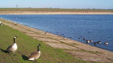 Abberton Reservoir