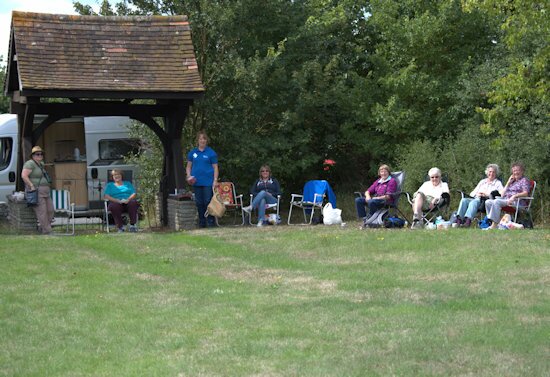 ILB's at RSPB Bowers Marsh