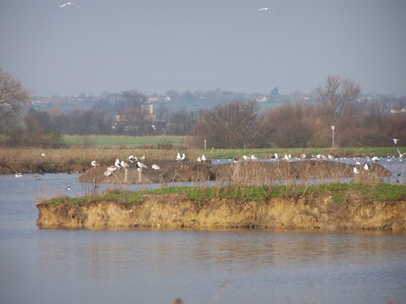 Paglesham Lagoon