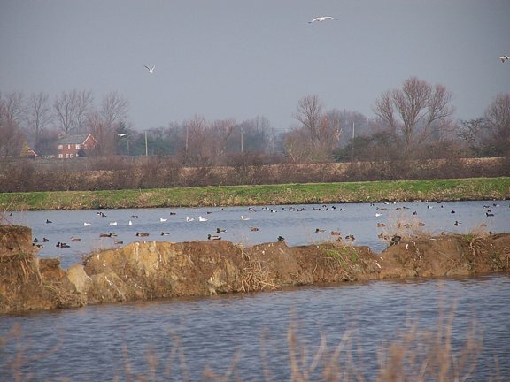 Paglesham Lagoon