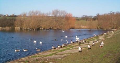 Layer De La Haye causeway