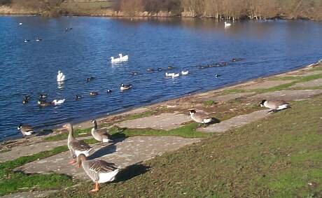 Layer De La Haye Causeway