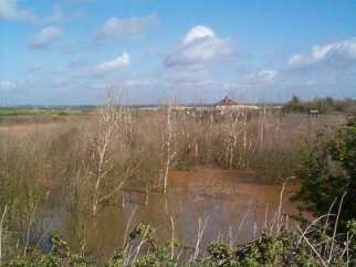 Barling Gravel Pits