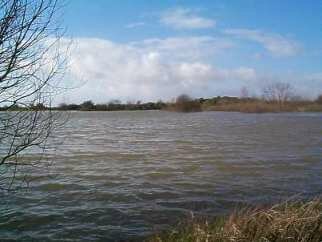 Barling Gravel Pits