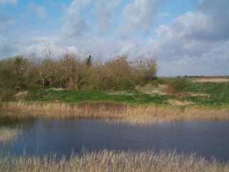 Barling Gravel Pits