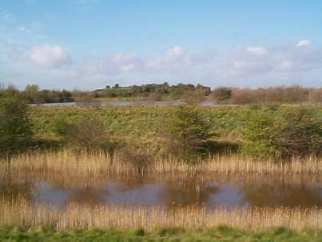 Barling Gravel Pits