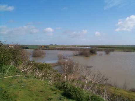 Barling Gravel Pits