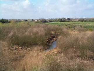 Barling Gravel Pits