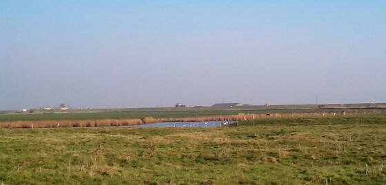 View across the lagoons