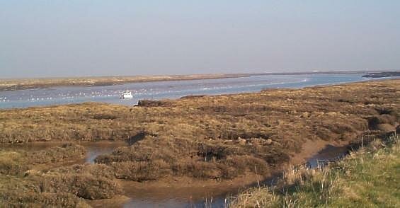 Barlinghall Creek and gulls