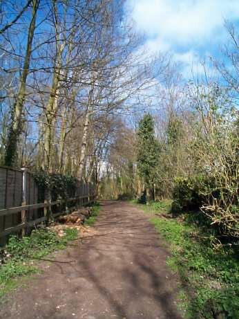 Hadleigh CP entrance