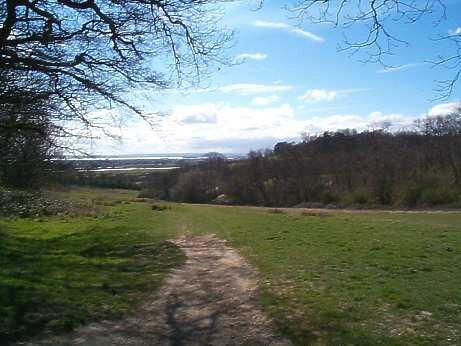 Hadleigh Castle Country Park