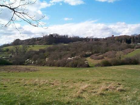 Benfleet Hills