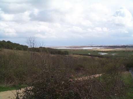 Hadleigh Castle Country Park