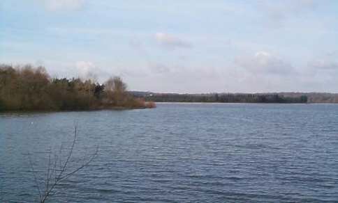 View from Rawl hide