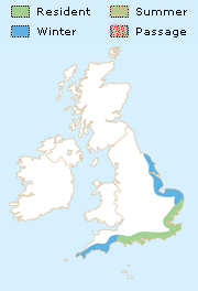 Med Gull Distribution Map