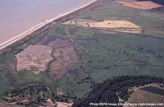 Ariel view of Minsmere