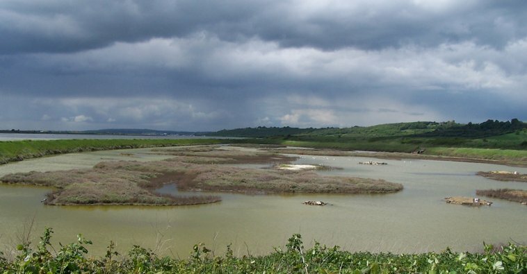 Two Tree Lagoon