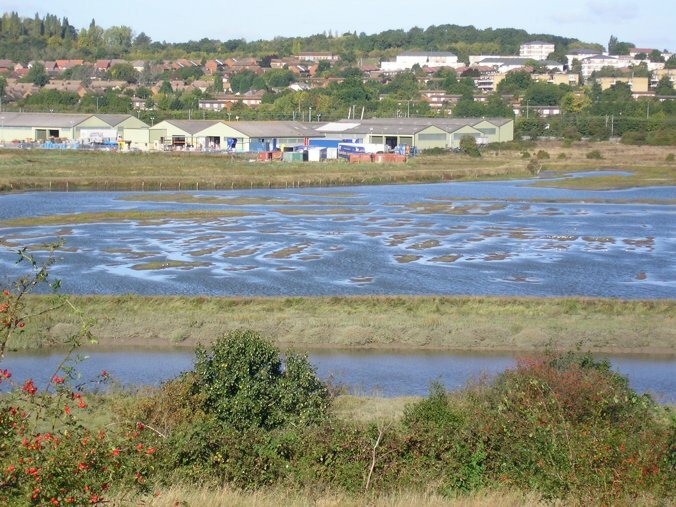 View over Vange Marsh