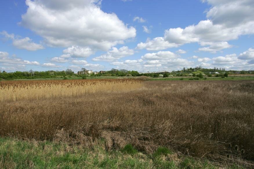 RSPB West Canvey & VangeMarsh