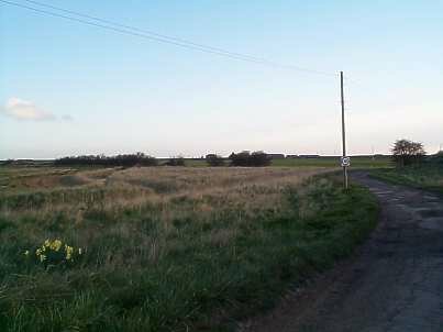 Oxenham Farm road