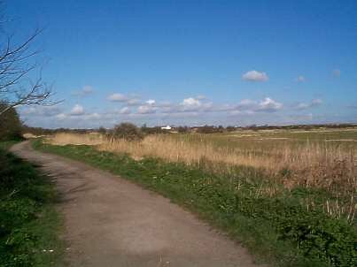 Wakering Common