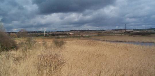 View from hide looking left