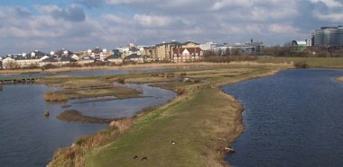 London Wetland Centre