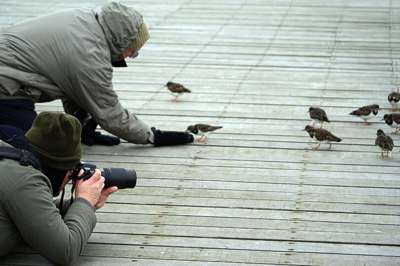 Taking photos on southend pier