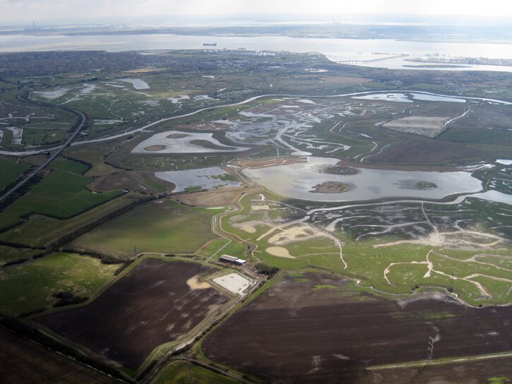 RSPB Bowers Marsh